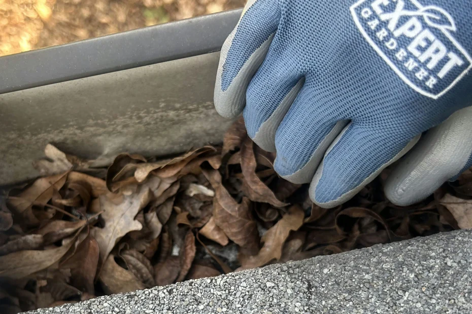 Gutter Cleaning Franklin VA