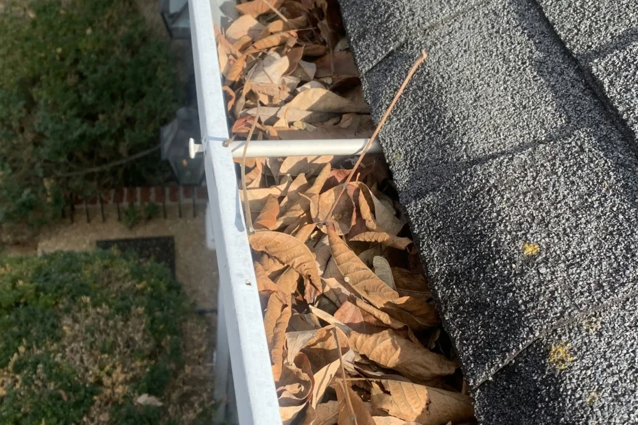 Gutter Cleaning Franklin VA