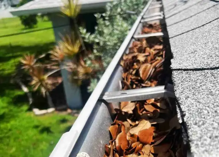 Gutter Cleaning Franklin VA home page